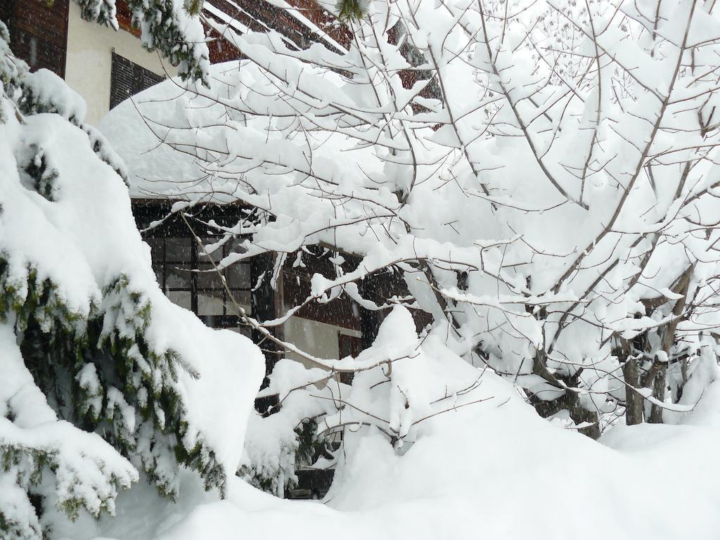 Residence Felik Gressoney-La-Trinite Bagian luar foto
